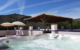 Casa Pino Solo